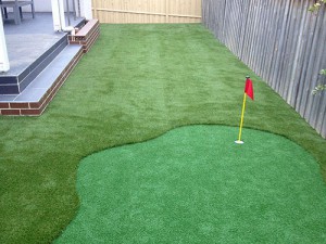 Backyard with Putt Putt Hole