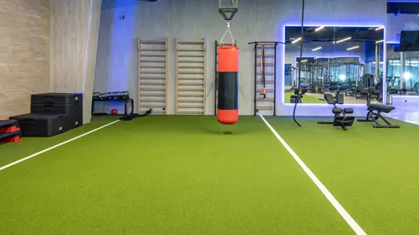 Artificial Grass for Gyms